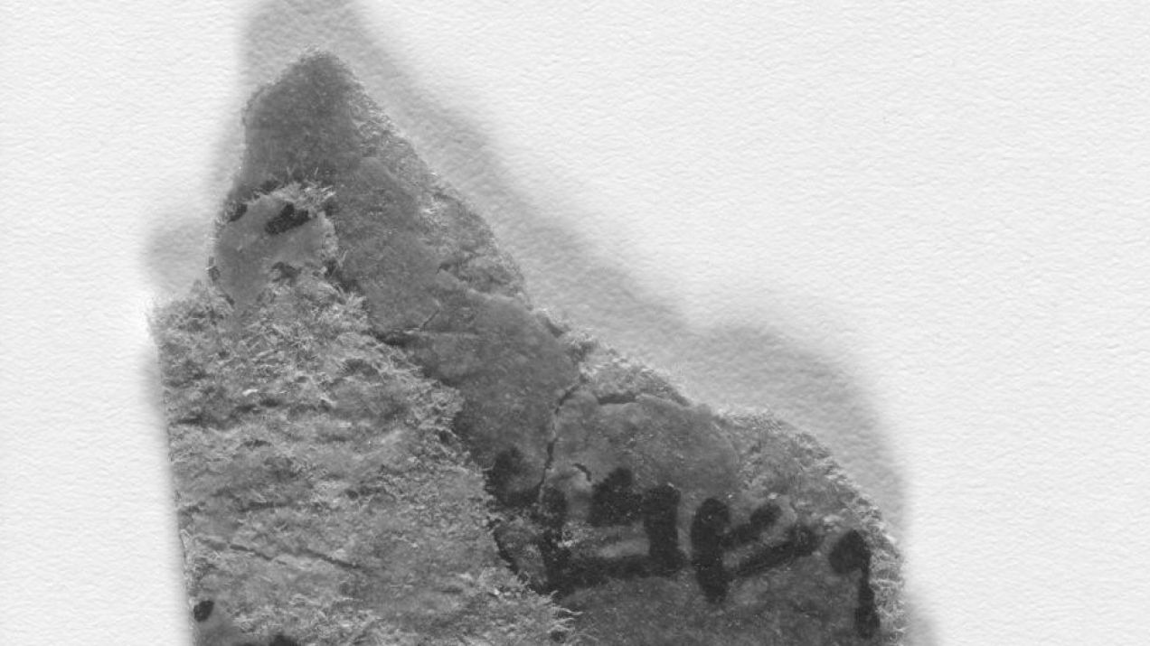 Odkryto niewidoczne dla oka zapisy na zwojach znad Morza Martwego fot.  Joan Taylor/ King’s College London