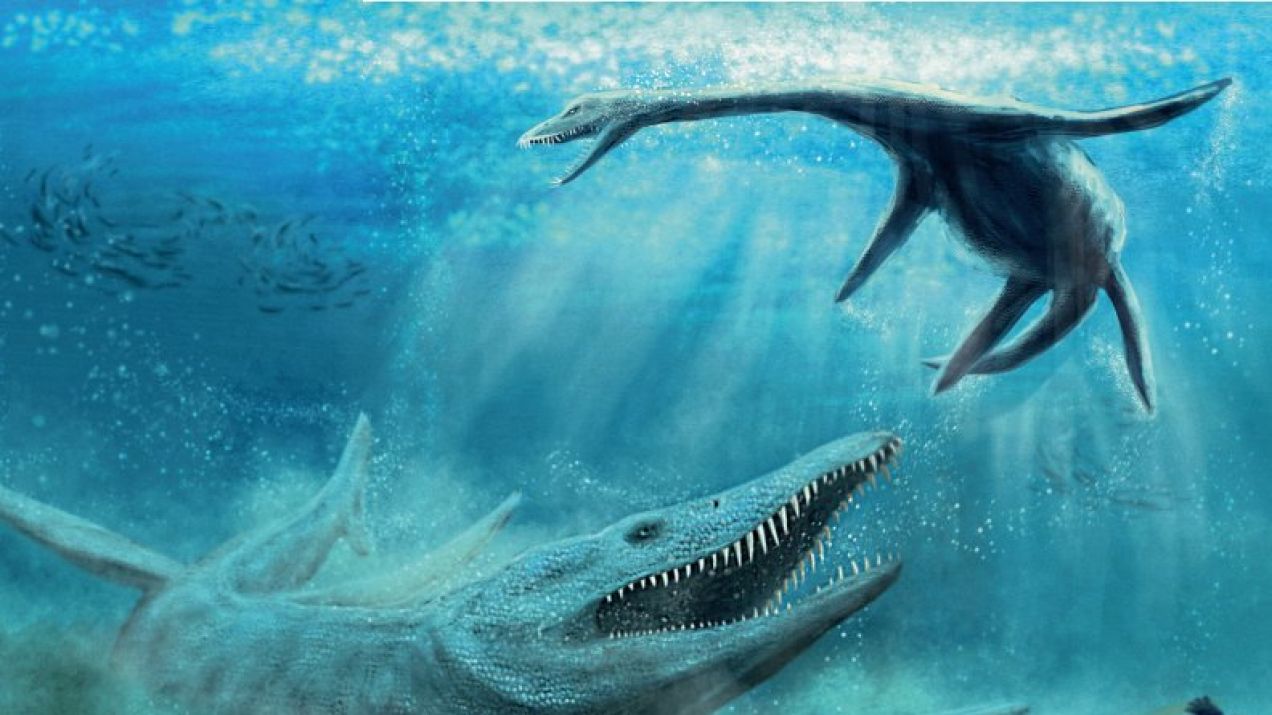 Pliozaur atakujący od spodu długoszyjego plezjozaura.