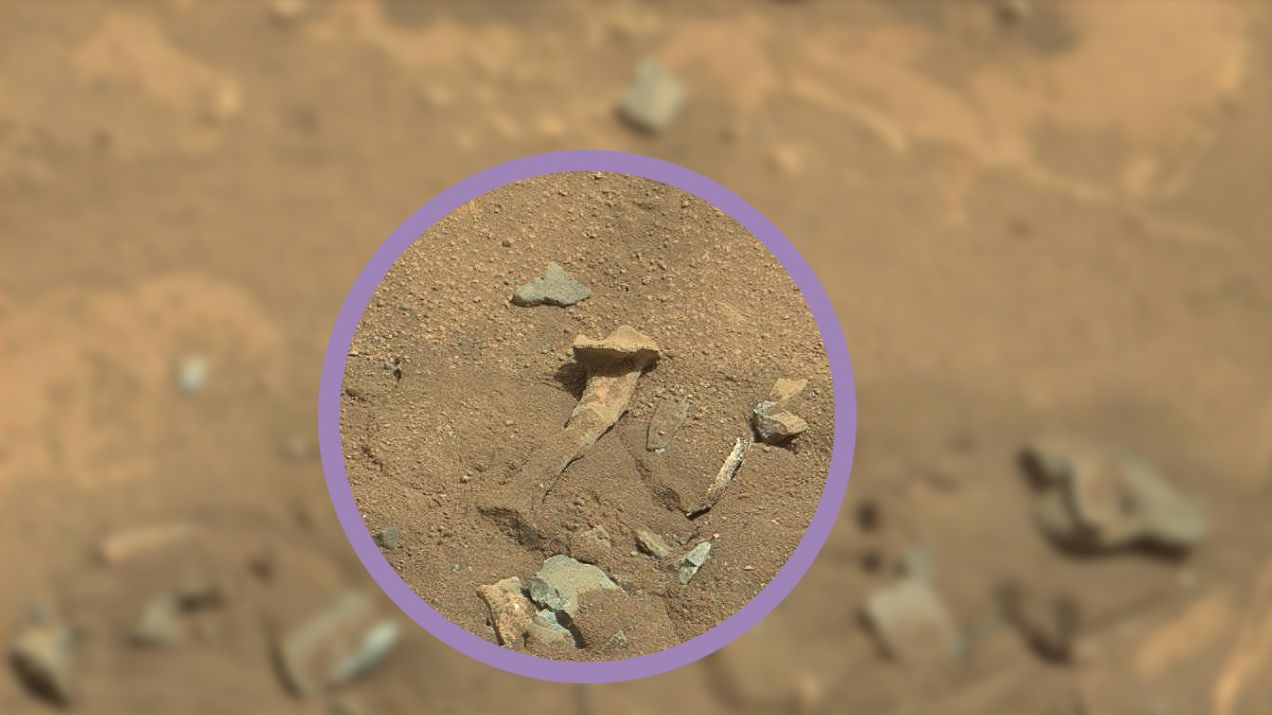 Ludzka kość na Marsie? fot. NASA/JPL-Caltech/MSSS, edycja Jan Sochaczewski