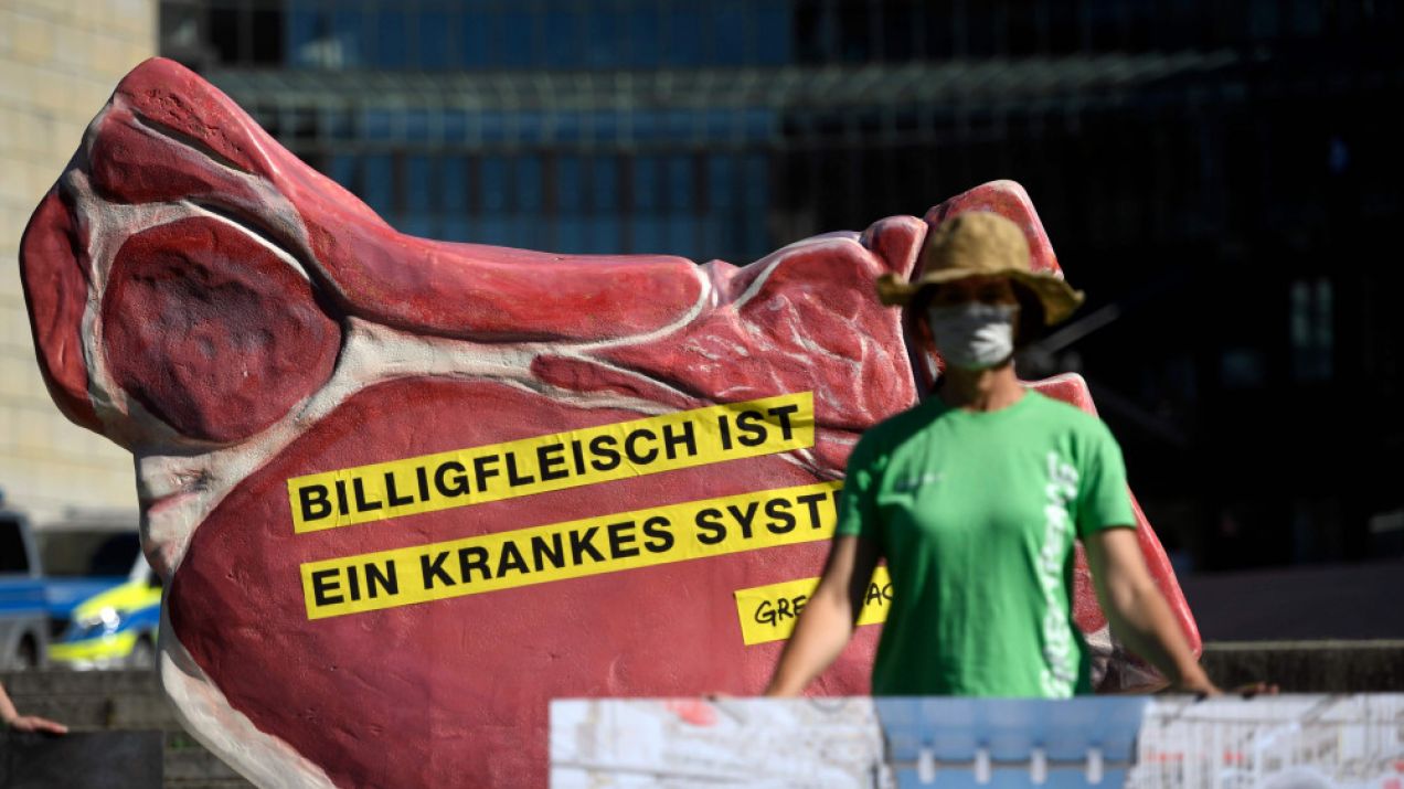 Działacze Greenpeace demonstrują przed parlamentem stanowym w Duesseldorfie  24 czerwca 2020 r., gdzue mają odbyć się obrady poświęcone nowemu ognisku koronawirusa w zakładach przetwórstwa mięsa w Toennies. fot. INA FASSBENDER/AFP/East News