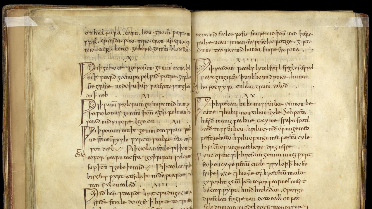 Cyfrową wersję Medicinale Anglicum można znaleźć na stronach British Library (fot. The British Library Board (Royal 12 D xvii))