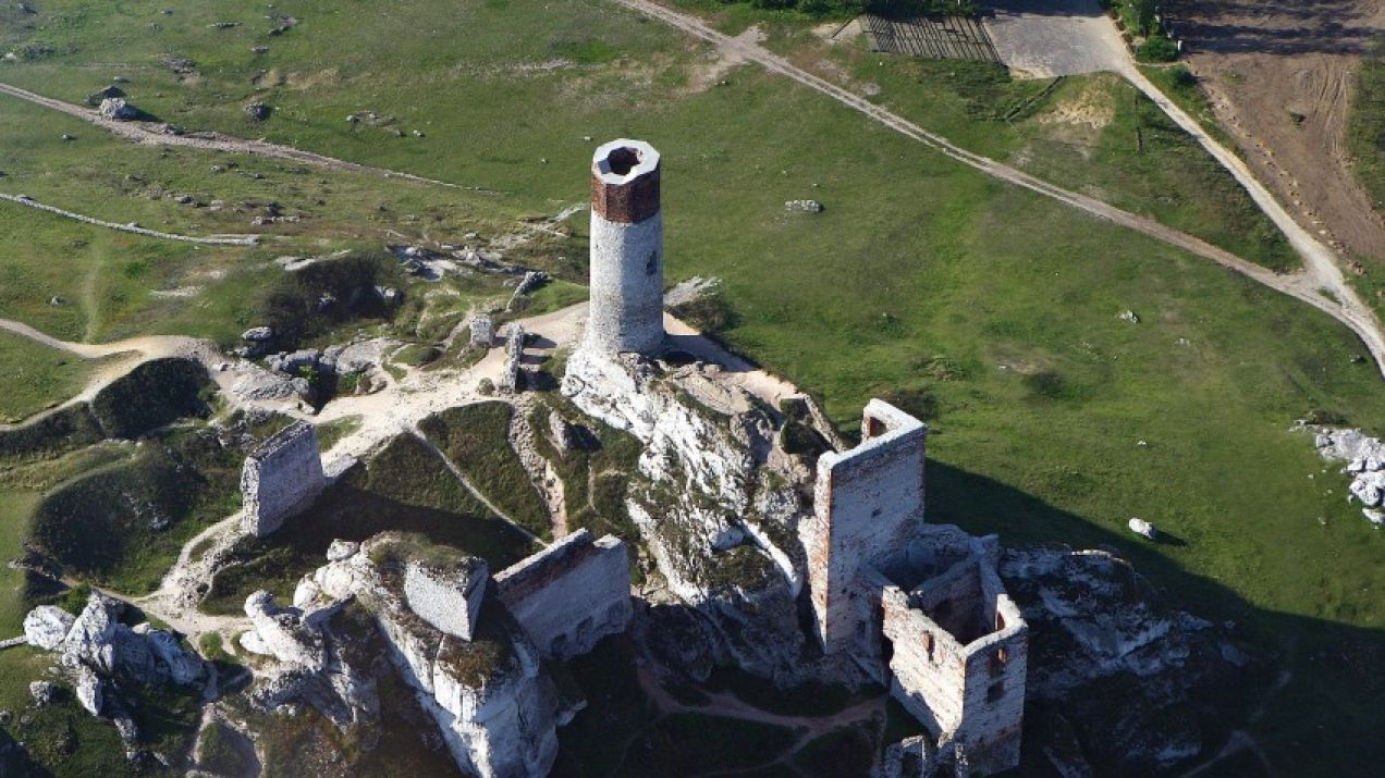 Ruiny zamku w Olsztynie na terenie Jury Krakowsko-Częstochowskiej (fot. Wikimedia/Chemik/ CC BY-SA 3.0 pl)