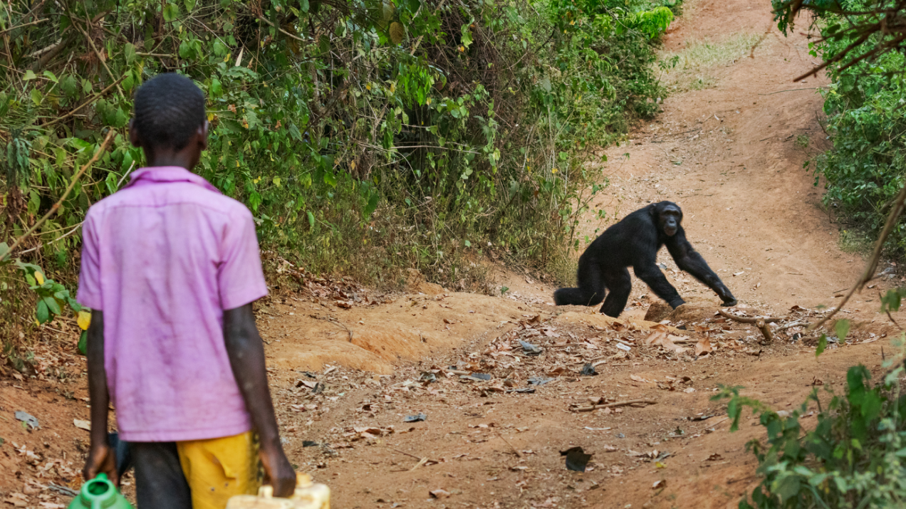 Uganda, "Życie w strachu"
