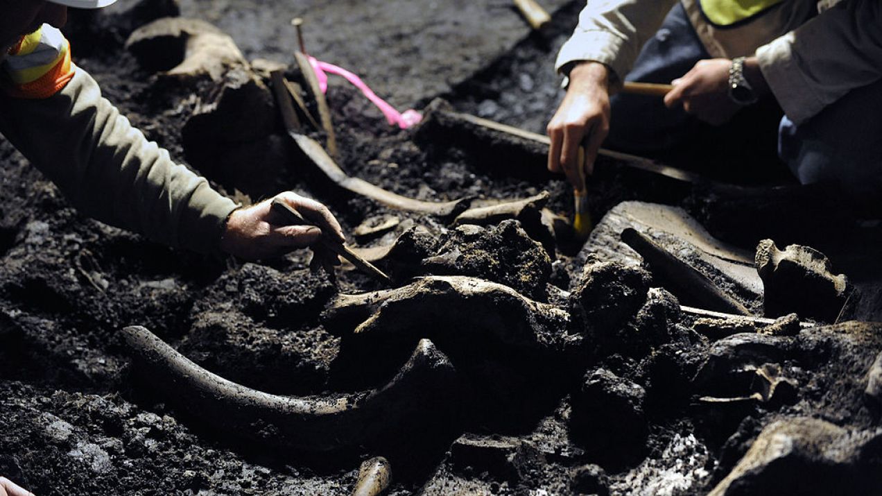 Pod ziemią wciąż pozostają kolejne szkielety (fot. Getty Images)