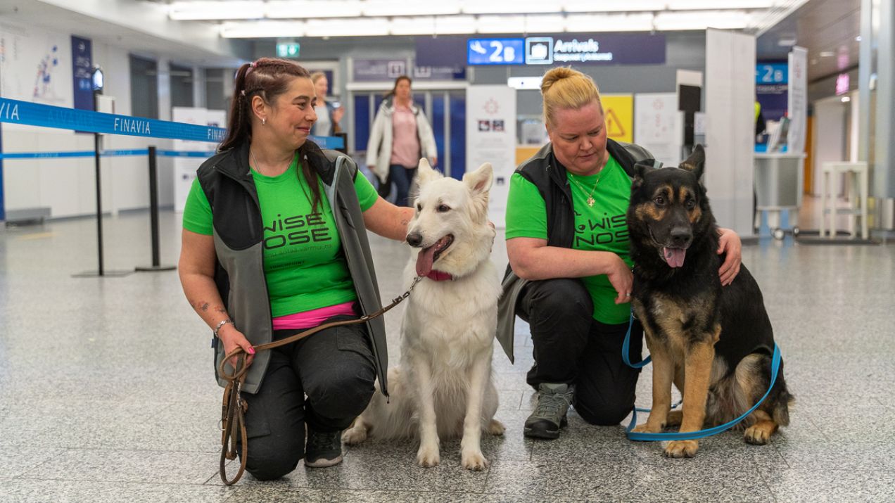 Pierwsze lotnisko w Europie ma psy wykrywające koronawirusa