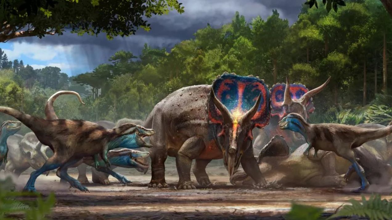 Artystyczna wizja pojedynku dinozaurów. / North Carolina Museum of Natural Sciences