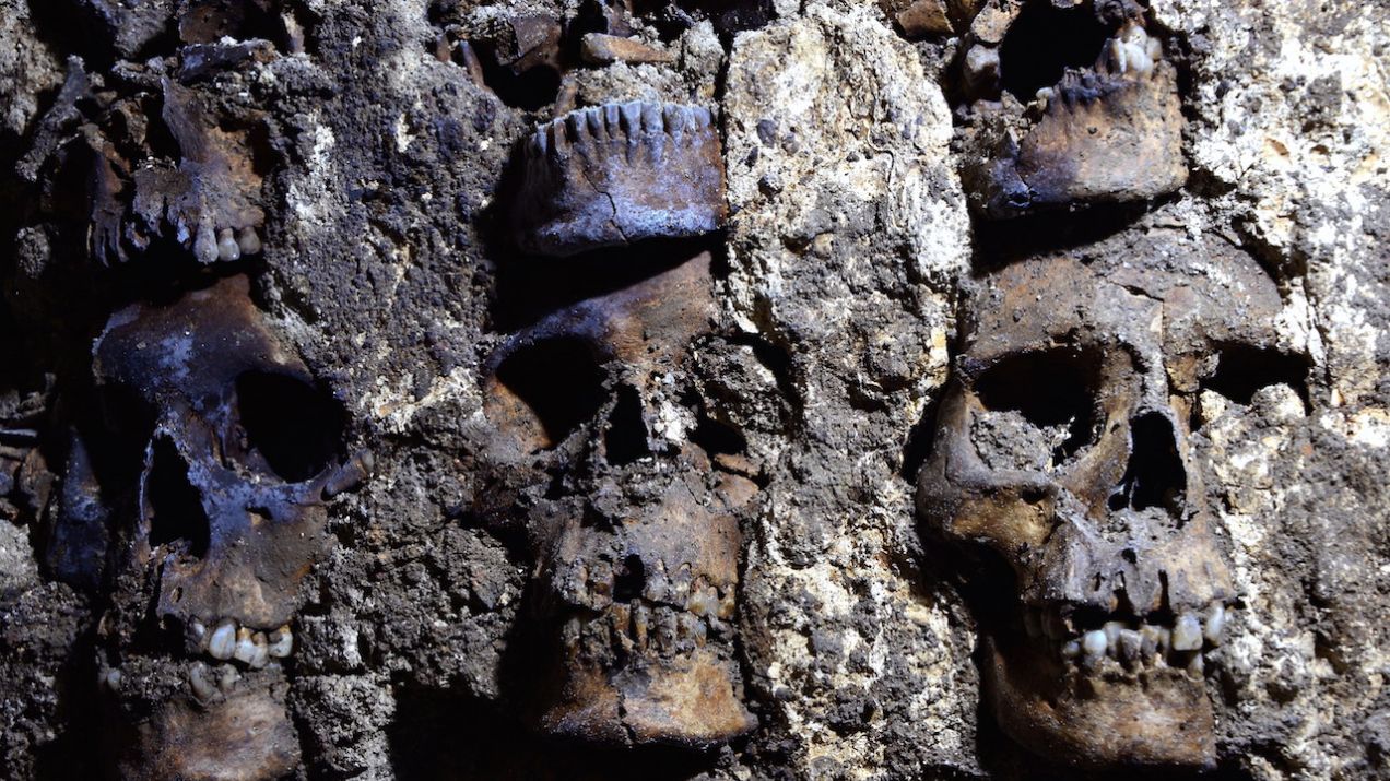Znaleźli wieżę z czaszek ponad setki kobiet, mężczyzn i dzieci