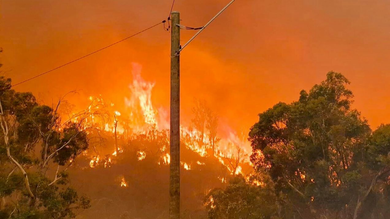 pożary w Australii
