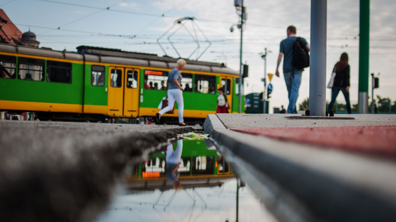 Poznańska komunikacja publiczna wypadła wtjątkowo słabo (fot Getty Images)