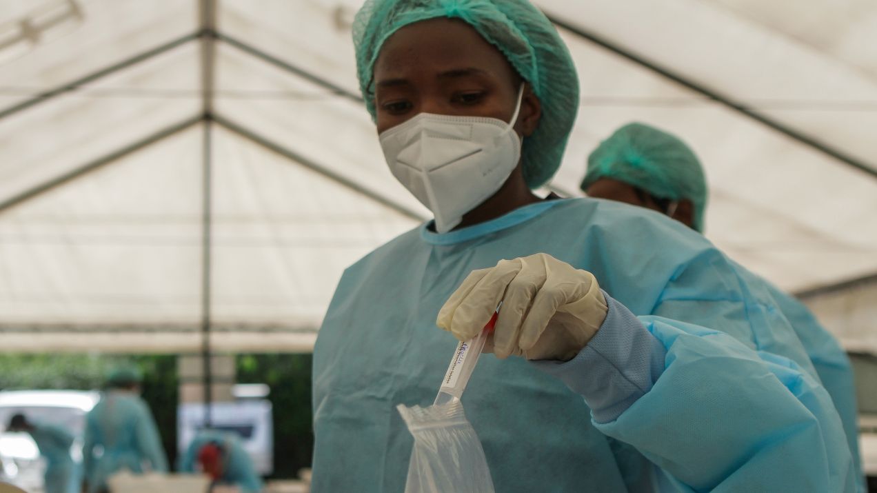 Wirus Nipah może doprowadzić do kolejnej panemii (fot. Getty Images)