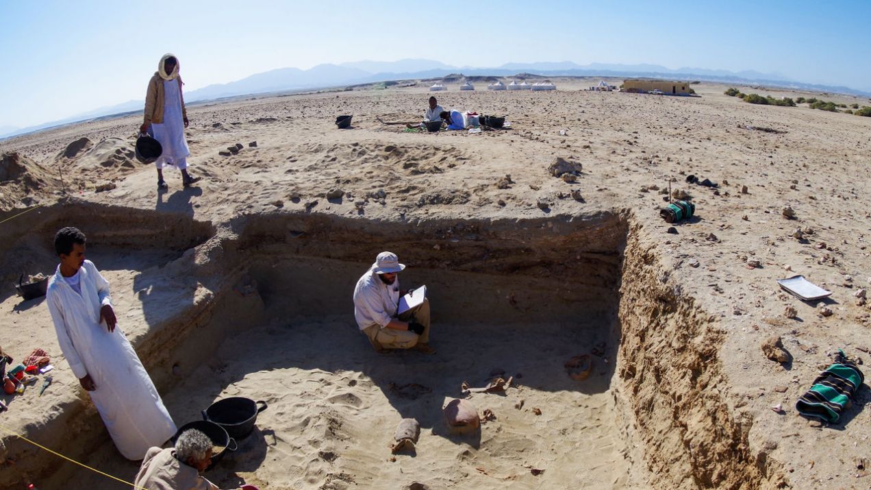 Miejsce wykopalisk, gdzie odkryto cmentarz dla zwierząt (fot. M. OSYPINSKA)