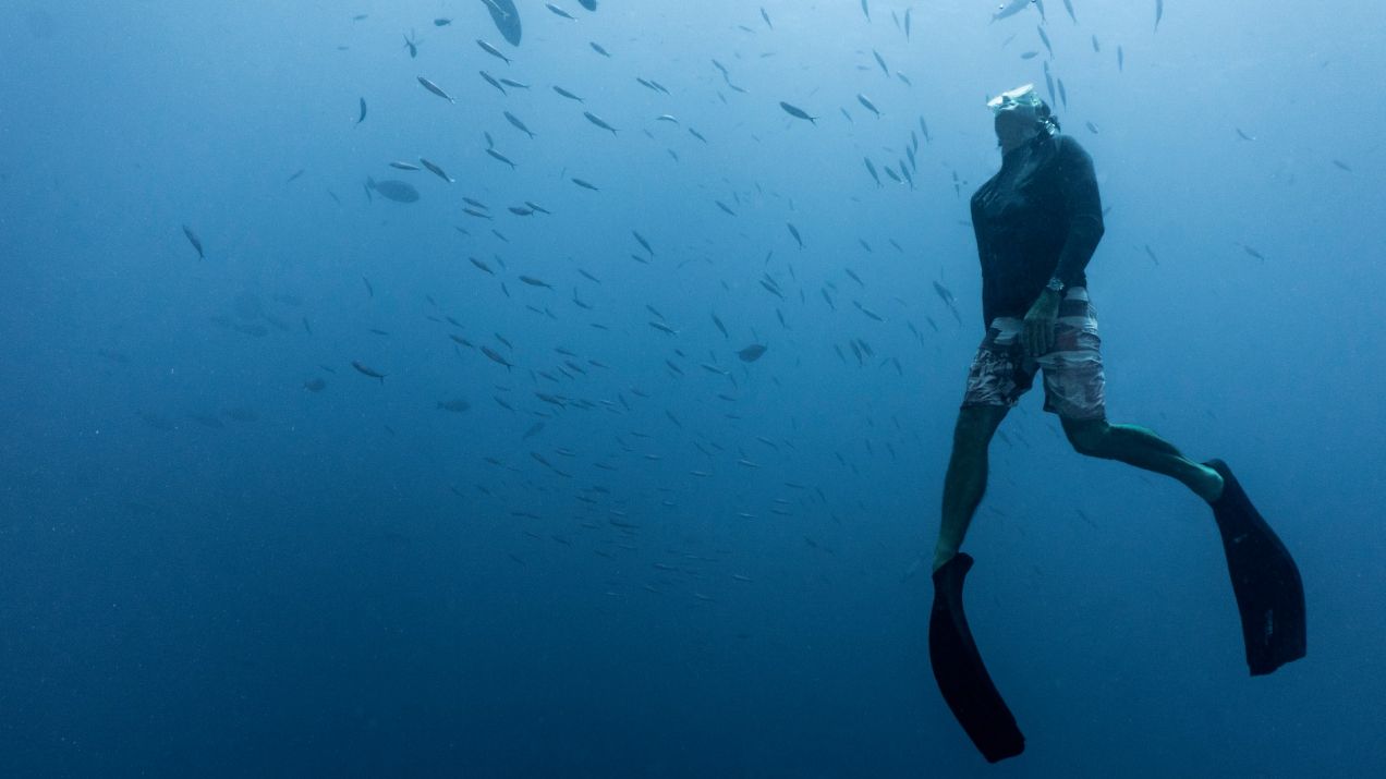 Najlepsi nurkowie są w stanie zejść na głębokość nawet 100 metrów (fot. Getty Images)