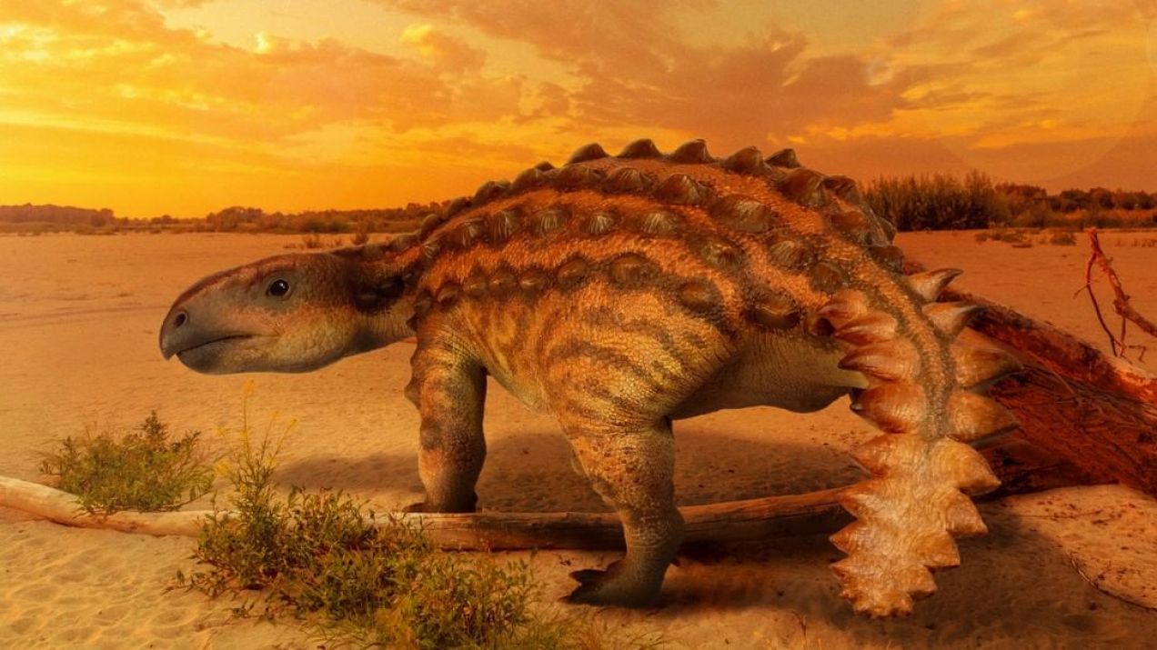 Odkryto dinozaura, który miał wyjątkowo dziwny ogon