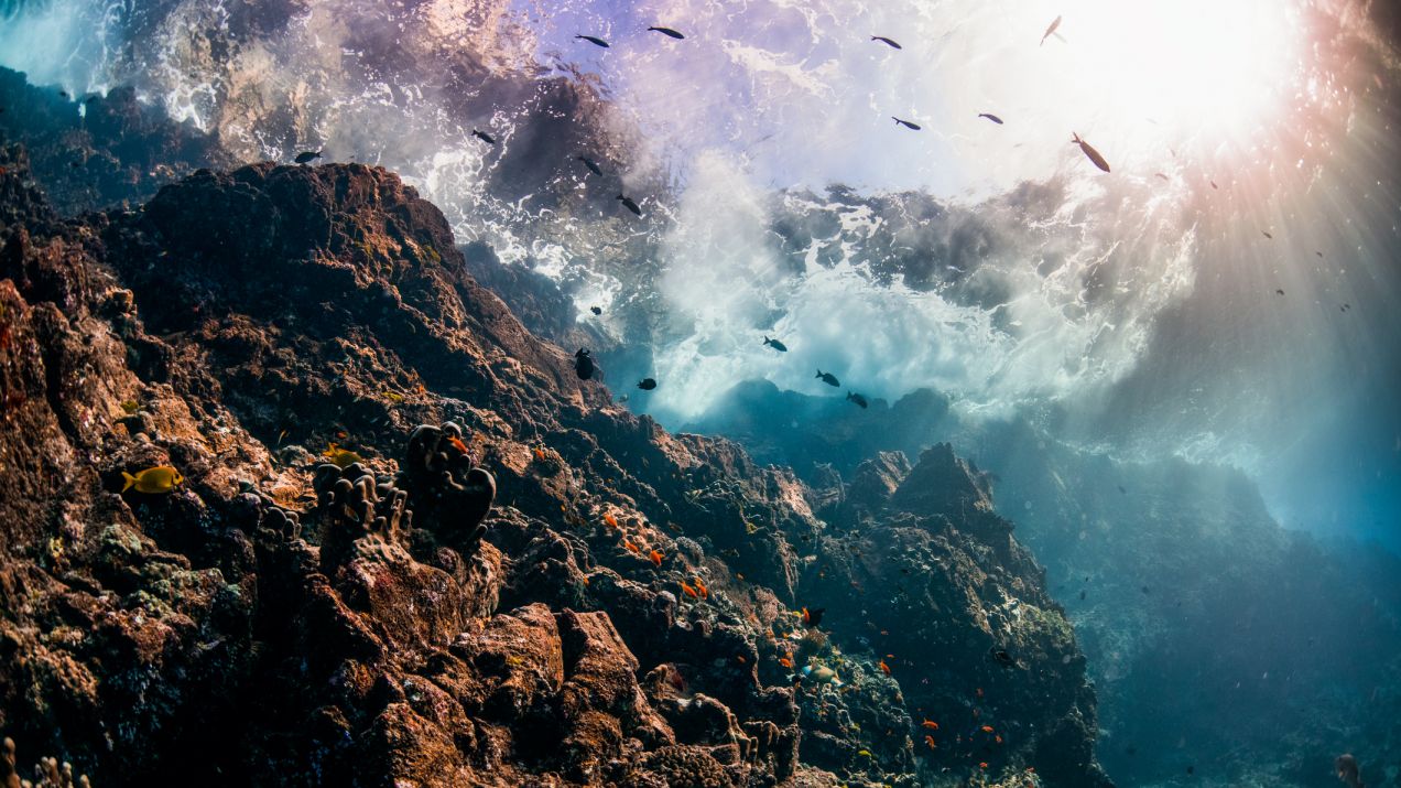 Podwodne góry przyciągają uwagę naukowców. Tysiące tajemniczych szczytów czekają na zbadanie (fot. Getty Images)