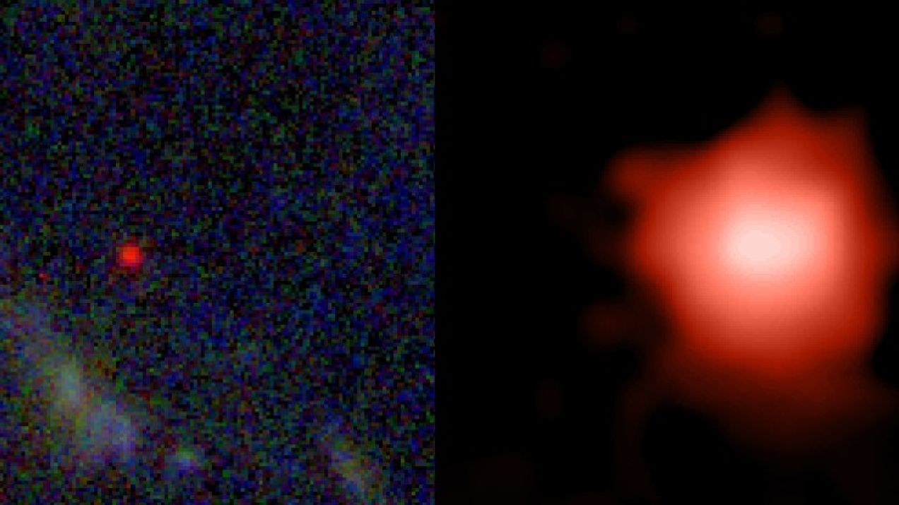 Czy kosmiczny teleskop Webba znalazł najstarszą galaktykę we Wszechświecie? (fot. NASA, ESA, CSA, and STScI/AFP)