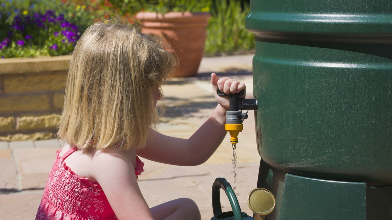 Zbieranie deszczówki: jak zbierać i korzystać z wody deszczowej? (Fot. Getty Images)