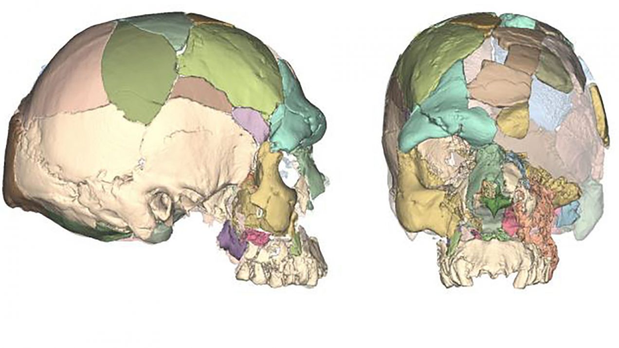 Jak bardzo zmienił się ludzki mózg przez 160 tys. lat? Prawie wcale. Co innego czaszki