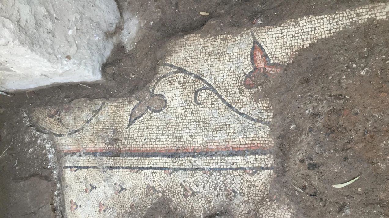 Czy tu urodził się święty Piotr? Archeolodzy są coraz bliżej odkrycia biblijnej Betsaidy
