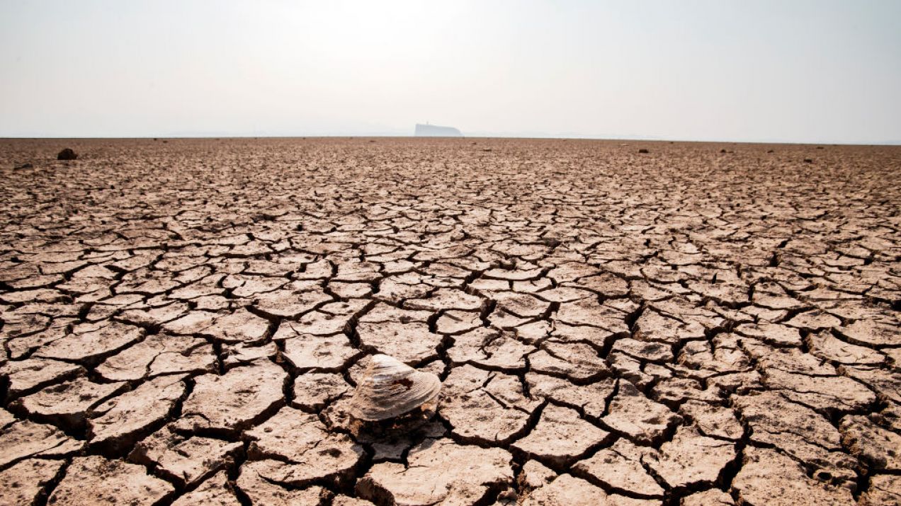 Z powodu gorąca w 2100 r. duża część naszej planety może być niebezpieczna dla życia (fot. Zhang Yu/VCG via Getty Images)