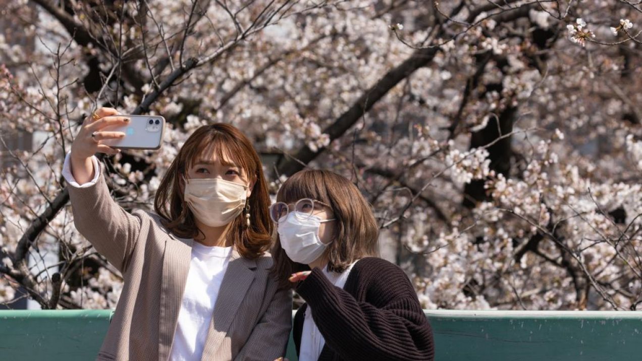 Ciekawostki o Japonii – poznaj 50 zaskakujących informacji! (fot.  Stanislav Kogiku/SOPA Images/LightRocket via Getty Images)