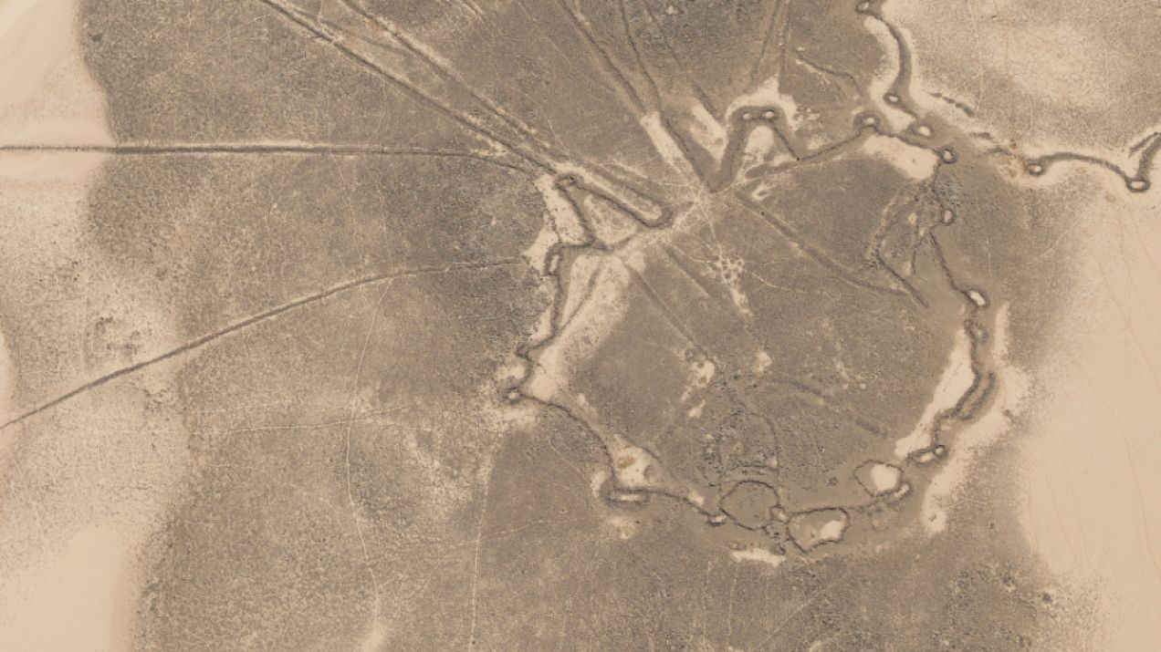 Na Półwyspie Arabskim znaleziono neolityczne konstrukcje. Do czego służyły „latawce”?