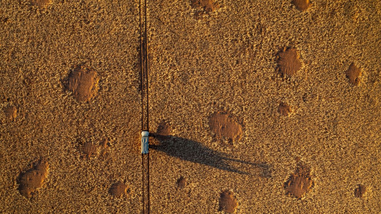 Pustynia Namib: jak powstają puste kręgi między trawami? Naukowcy już wiedzą