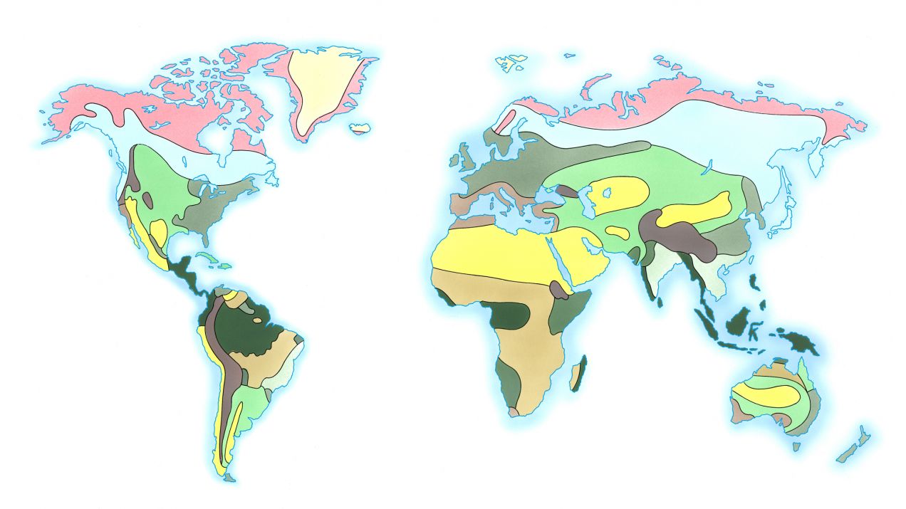 Strefy klimatyczne świata – jaki klimat panuje w różnych zakątkach Ziemi? (fot. Getty Images)
