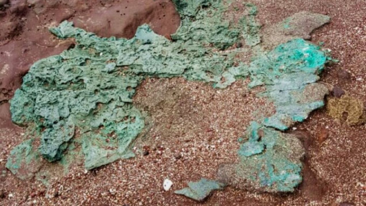 „Przerażające” odkrycie na odizolowanej wyspie. Badacze odkryli plastikowe skały