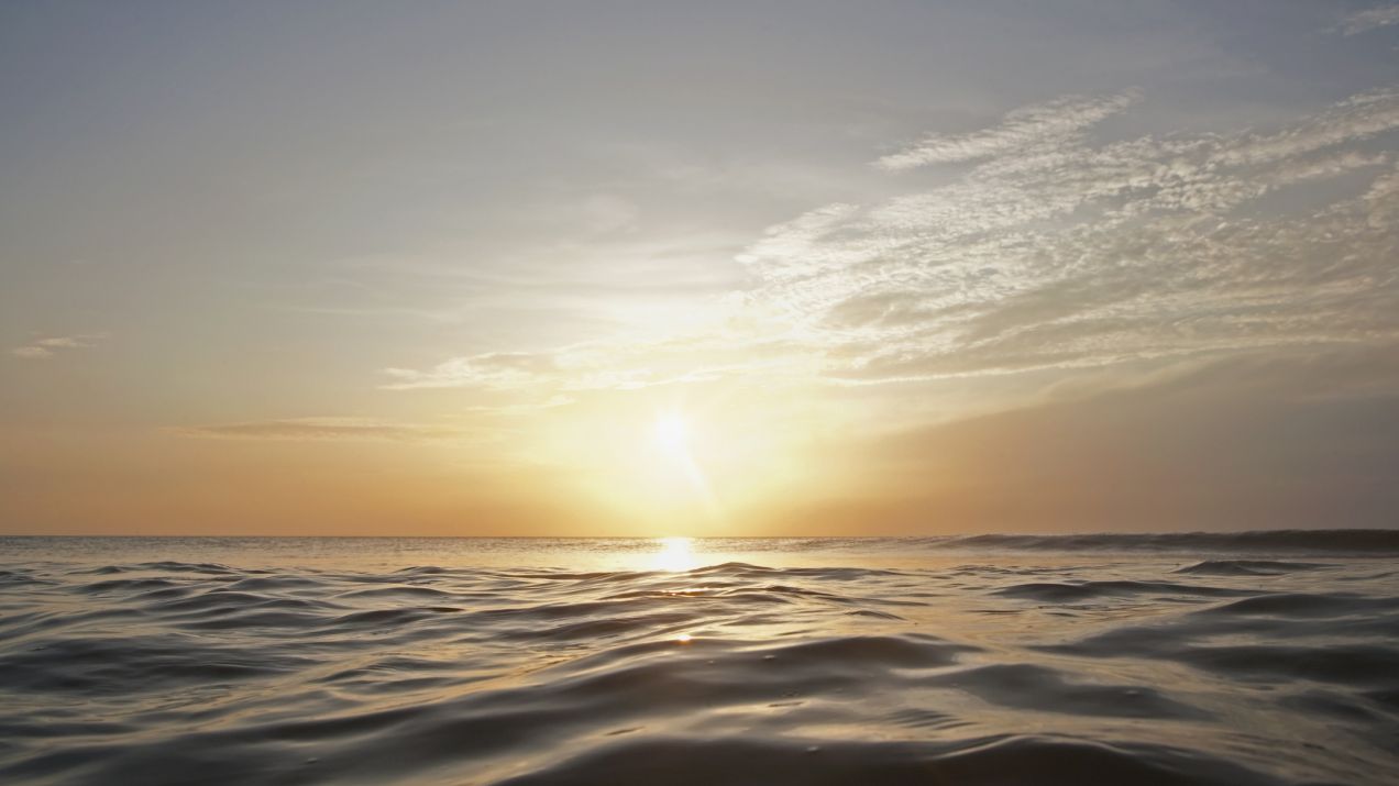 Oceany na Ziemi – fascynujące fakty i ciekawostki o największych zbiornikach wodnych (fot. Getty Images)