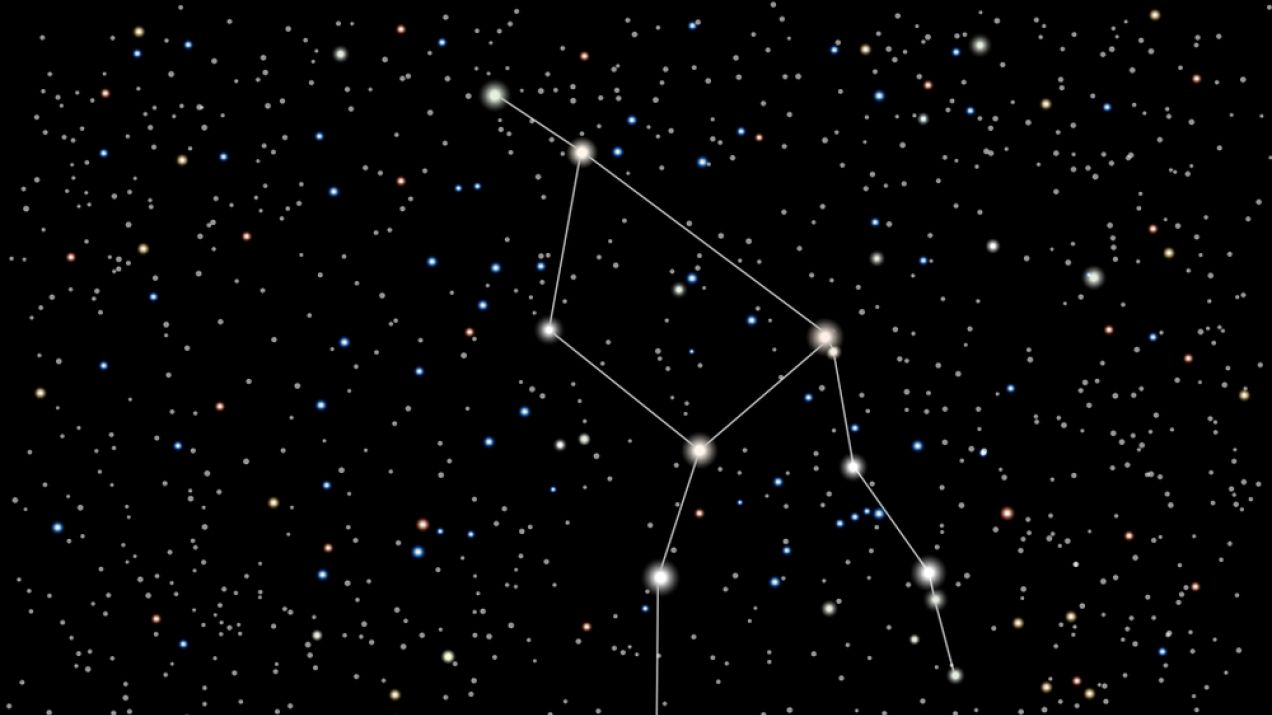 Gwiazdozbiór Żyrafy – gdzie jest na niebie? Charakterystyka, pochodzenie, mitologia, znaczenie (ryc. Sutterstock)