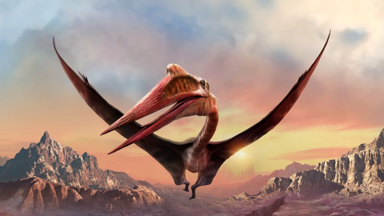 Quetzalcoatl to największe latające stworzenie w historii. Był rozmiarów żyrafy, ale polował jak czapla (ryc. Shutterstock)