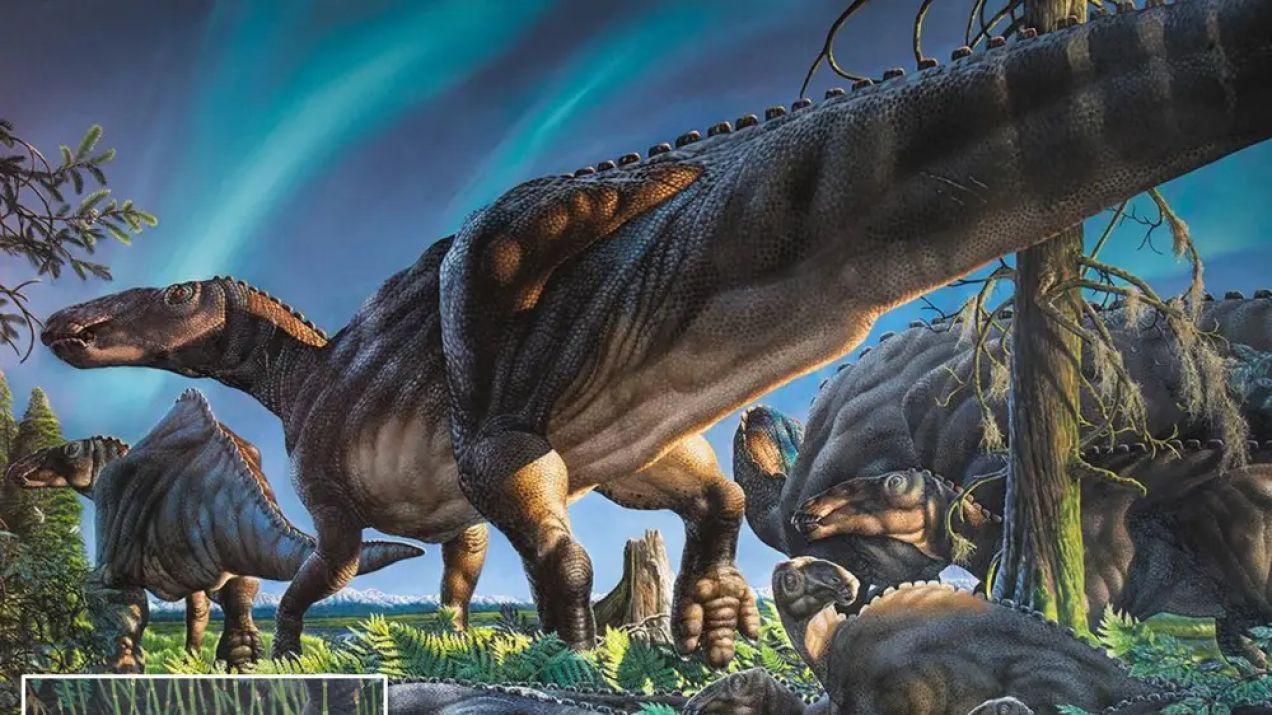 Stuart Malutki epoki dinozaurów: naukowcy znaleźli zęby myszy sprzed 70 mln lat. Były wielkości ziaren piasku (ryc. James Havens)