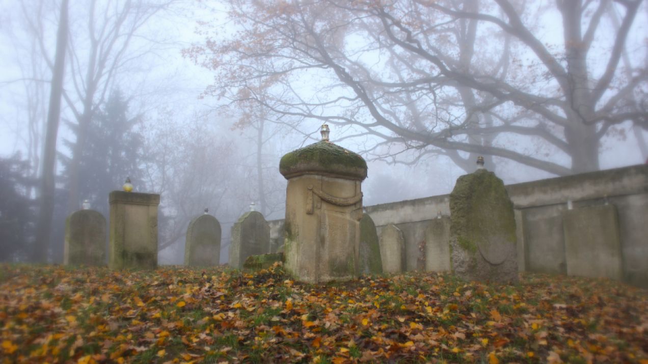 Największy cmentarz w Polsce