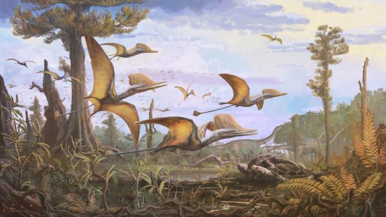 Nieznany gatunek pterozaura odkryto w Szkocji. Nie powinno go tam być